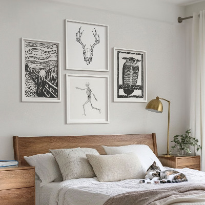 Tavelvägg ovanför soffa Inspiration Skrik Dödskalle Uggla