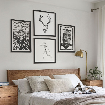 Tavelvägg ovanför soffa Inspiration Skrik Dödskalle Uggla