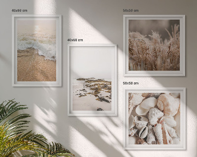 Tavelvägg med 4 tavlor Strandgräs vågor stenar boho