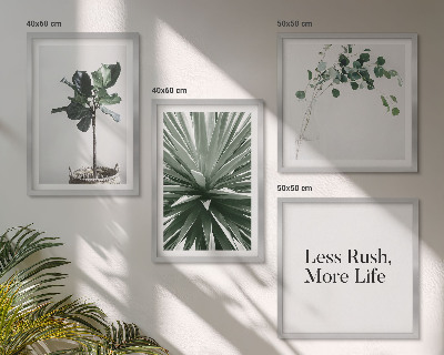 Tavelvägg ovanför soffa Gröna växter minimalism
