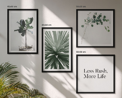 Tavelvägg ovanför soffa Gröna växter minimalism
