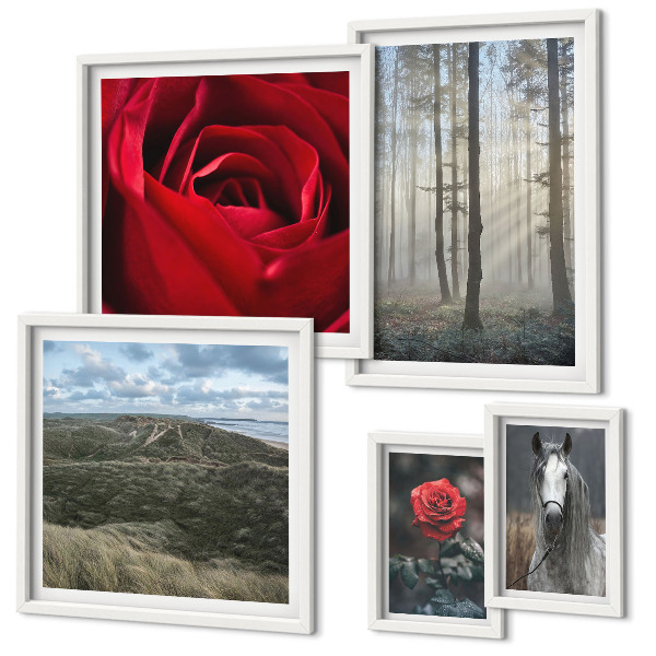 Set om 5 tavlor Naturblommor i olika stilar