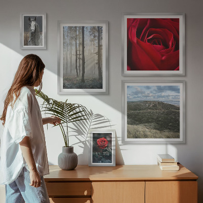 Set om 5 tavlor Naturblommor i olika stilar
