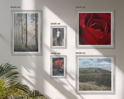 Set om 5 tavlor Naturblommor i olika stilar