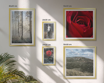 Set om 5 tavlor Naturblommor i olika stilar