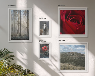 Set om 5 tavlor Naturblommor i olika stilar