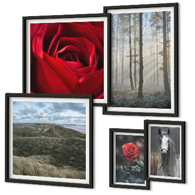 Set om 5 tavlor Naturblommor i olika stilar