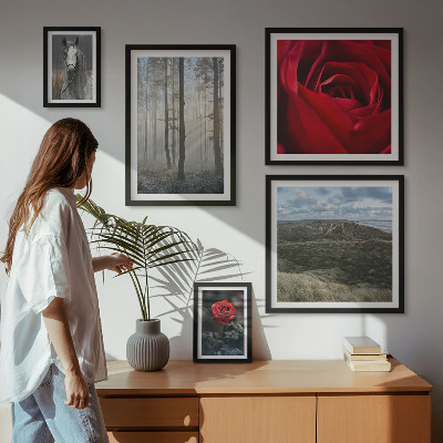 Set om 5 tavlor Naturblommor i olika stilar