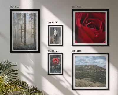 Set om 5 tavlor Naturblommor i olika stilar