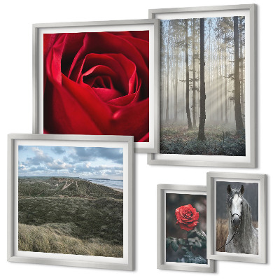 Set om 5 tavlor Naturblommor i olika stilar