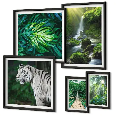 Tropiska naturlandskap set om 5 tavlor