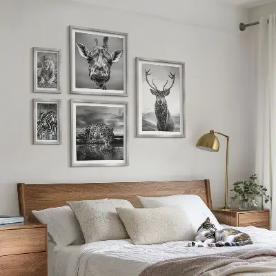 Svartvita djur i naturen set om 5 tavlor