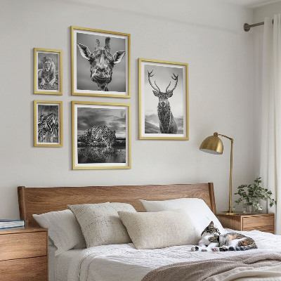 Set om 5 tavlor Svartvita djur i naturen