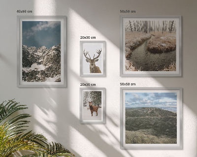 Set om 5 tavlor Vild natur majestätiska berg