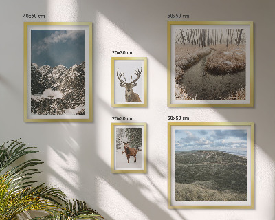 Set om 5 tavlor Vild natur majestätiska berg