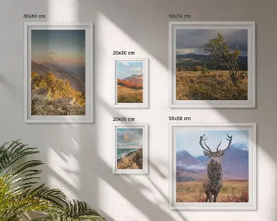 Tavelvägg med 5 tavlor med motiv av bergsdjurslandskap