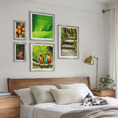 Tavelvägg med 5 tavlor Tropiska naturfruktmotiv