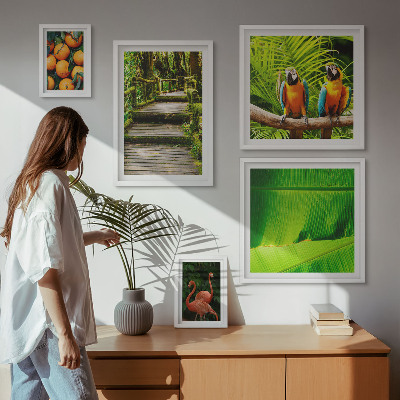 Tavelvägg med 5 tavlor Tropiska naturfruktmotiv