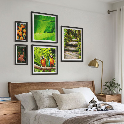 Tavelvägg med 5 tavlor Tropiska naturfruktmotiv
