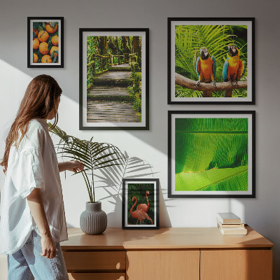 Tavelvägg med 5 tavlor Tropiska naturfruktmotiv