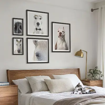 Moderna djurporträtt set om 5 tavlor