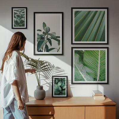 Set om 5 tavlor Inspirationer från tropiska växter