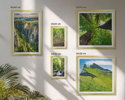 Gröna landskap naturstigar set om 5 tavlor