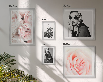 Set om 5 tavlor Snygga porträtt av rosor elegant