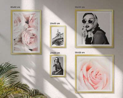 Set om 5 tavlor Snygga porträtt av rosor elegant