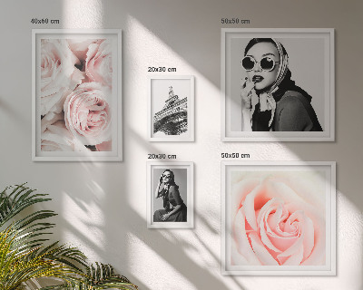 Set om 5 tavlor Snygga porträtt av rosor elegant
