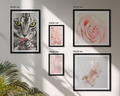 Väggdekoration tavelset Katter rosor delikata nyanser