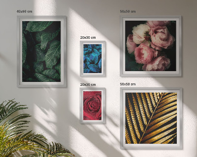 Tavelvägg med 5 tavlor Växtblommotiv