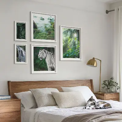 Väggdekoration tavelset med motiv av tropiska djur i naturen