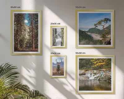 Väggdekoration tavelset med motiv av bergslandskap och vild natur