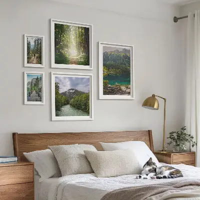 Bergslandskap och skogsstigar set om 5 tavlor