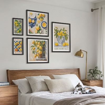 Set om 5 tavlor Citrus provençalska dekorationer
