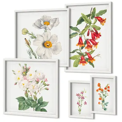 Blommiga botaniska illustrationer tavelvägg med 5 tavlor