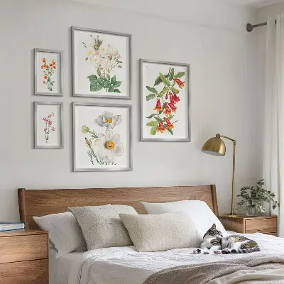 Blommiga botaniska illustrationer tavelvägg med 5 tavlor