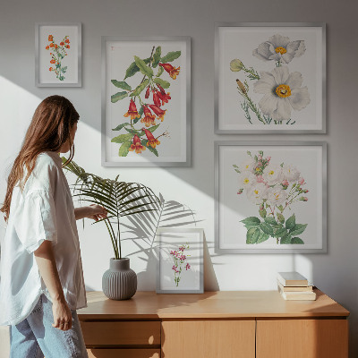 Tavelvägg med 5 tavlor Blommiga botaniska illustrationer