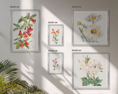 Tavelvägg med 5 tavlor Blommiga botaniska illustrationer
