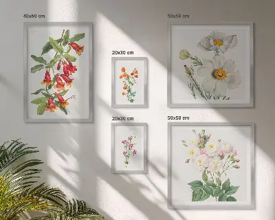 Blommiga botaniska illustrationer tavelvägg med 5 tavlor