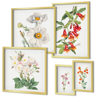 Tavelvägg med 5 tavlor Blommiga botaniska illustrationer
