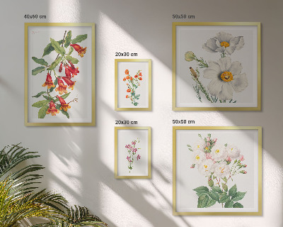 Tavelvägg med 5 tavlor Blommiga botaniska illustrationer