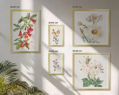Blommiga botaniska illustrationer tavelvägg med 5 tavlor