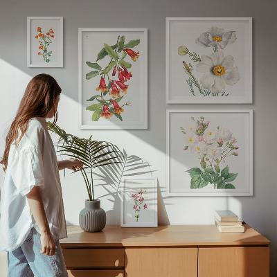 Tavelvägg med 5 tavlor Blommiga botaniska illustrationer