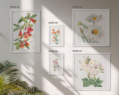 Tavelvägg med 5 tavlor Blommiga botaniska illustrationer