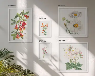 Blommiga botaniska illustrationer tavelvägg med 5 tavlor