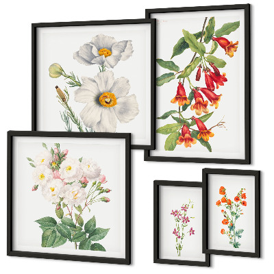 Tavelvägg med 5 tavlor Blommiga botaniska illustrationer
