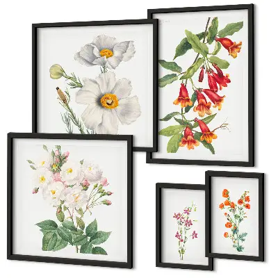 Blommiga botaniska illustrationer tavelvägg med 5 tavlor