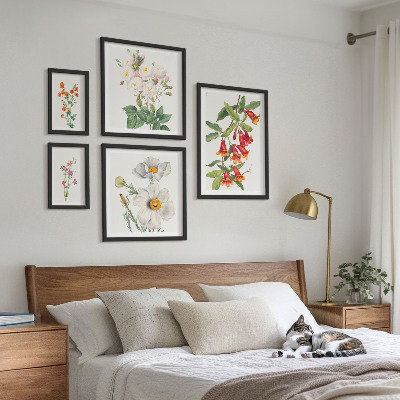 Tavelvägg med 5 tavlor Blommiga botaniska illustrationer